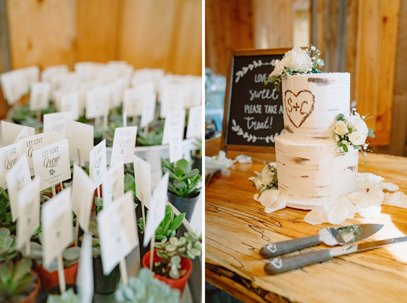 Succulent escort cards and naked wedding cake