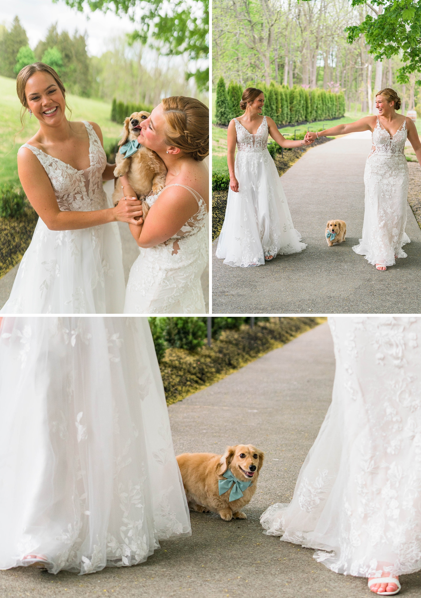 Couple posing with their dog on their wedding day